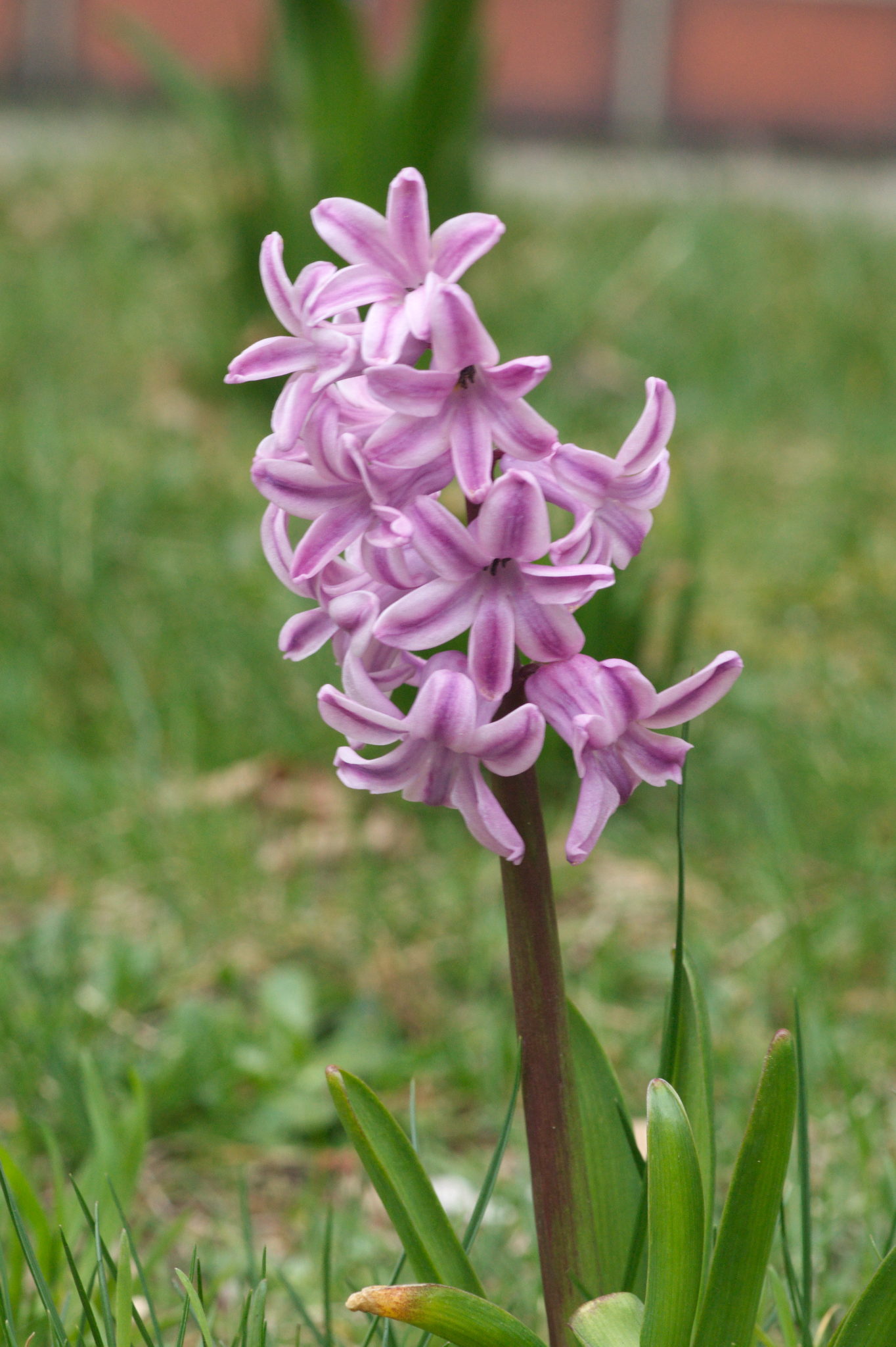 20210402  Gruen(t)raumHeimfeld 007